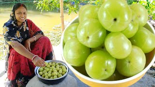 সর্দি কাশি গ্যাস অম্বল দূর করতে আমলকী এইভাবে একবার খেয়ে দেখুন দারুন উপকার পাবেন  amla recipe [upl. by Eecram242]