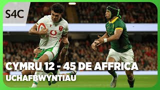 Uchafbwyntiau Cymru v De Affrica  Wales v South Africa Highlights  Cyfres yr Hydref  S4C [upl. by Ramal170]