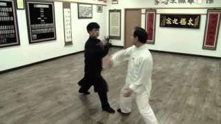 Lee Chan  Taichi 13 Techniques ï§¡ç‡¦ å¤ªæ¥µåä¸‰æ‰‹ [upl. by Darcie]