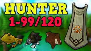 199120 Hunter Guide Updated 2022 AFK amp Fastest Methods  Runescape 3 [upl. by Idzik459]