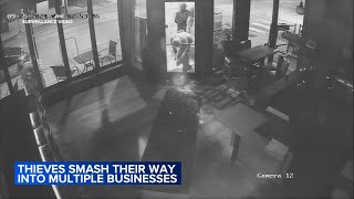 5 businesses burglarized in roughly 30 minutes Chicago police [upl. by Llehsor995]