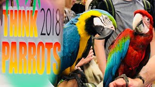 Think Parrots Show 2018  Mikey The Macaw [upl. by Nafri]