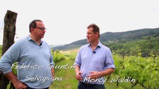 Chianti Rufina Selvapiana Winemaker Federico Giuntini [upl. by Aner]