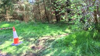 ulster xc round 1 ballykelly forest [upl. by Ardelia980]