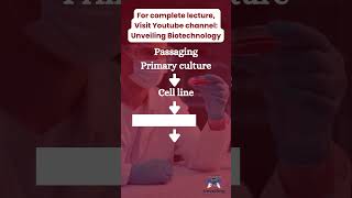 basics of cell culture introduction to cell culture unveiling biotechnology [upl. by Aenea962]