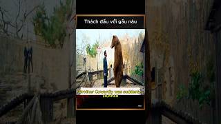 Review Film Thách đấu với gấu nâu [upl. by Mil]