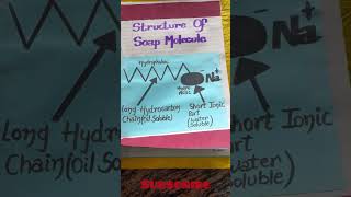 Chemistry Project Class 12 Soaps and Detergents Final Practical CBSE Boards Science  MsPriyanka [upl. by Clarhe]