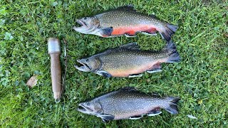 I FINALLY caught Brook Trout on the hand reel Fall trout fishing made easy [upl. by Aicetel]