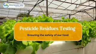 Ensuring Food Safety Pesticide Residue Testing at Envirocare Labs [upl. by Inaffets167]