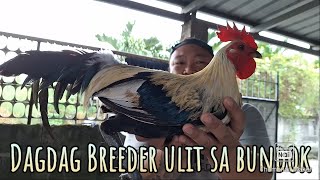 Dagdag batch ulit ng breeder sila Tito sa bundok [upl. by Vasya971]