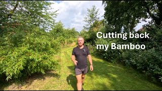 Taming a bushy bamboo [upl. by Guillaume]