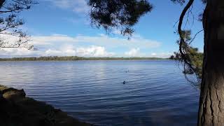 Autumn Serenity Silent Videowalk in Sundbyholm  A Beautiful Daytrip to Lake Mälaren  Sweden 4K [upl. by Trust]