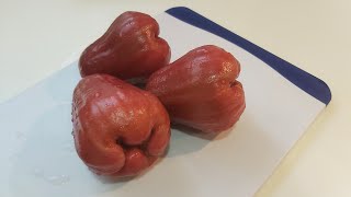 Slicing rose apple  wax apple macopamakopa asmr satisfying live trending [upl. by Euqinwahs]