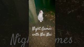 Night Games with Nai Nai Game Start cat nainai night games [upl. by Suiramad]