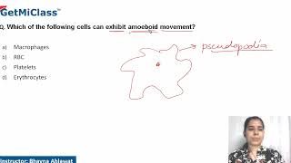 Amoeboid movement [upl. by Efinnej]