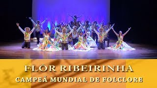 Flor Ribeirinha  Campeã Mundial do Folclore 2017 [upl. by Nnylrefinnej589]