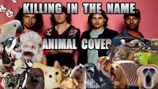 Rage Against The Machine  Killing In The Name Animal Cover [upl. by Yllus]