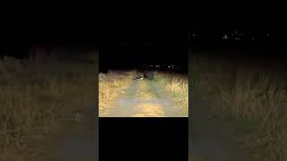 Avoid Abandoned Roads In Nights😱 ghost leftysays paranormal haunted [upl. by Liban]