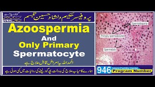 What Is Azoospermia With Only Spermatocyte پروفیسرحکیم دلشادحسین تبسم Islami fertility Center Lahore [upl. by Hesketh]