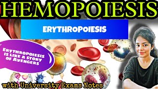 Hemopoiesis  Erythropoiesis in hindi University Exams Notes Hematology [upl. by Mcroberts863]