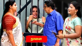 Siragadikka Aasai 11th to 12th November 2024 Full Episode Promo Prediction amp Review Vijay Television [upl. by Yuh162]