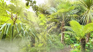 A September Exotic Garden Tour at Winterton Lincolnshire [upl. by Erodisi821]