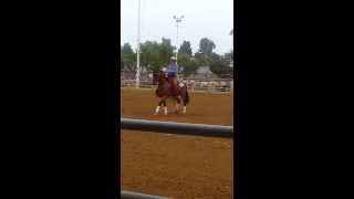 2013 Santa Barbara Fiesta Reining  Mark Mahnken [upl. by Burdett]