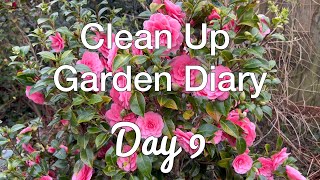 Gardening Diary  Garden Transformation  Magnolias  Camellia  Spring Blooms  Garden Maintenance [upl. by Japheth126]