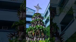 Christmas Vibes 2024 Featuring 2021 Ecofriendly Christmas Tree at the Imus Institute [upl. by Ilam]