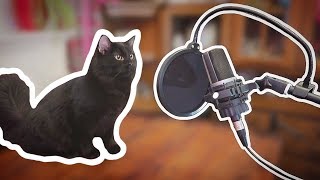 I Love My Kitty Cat lyric video  Parry Gripp and Nathan Mazur [upl. by Enimzaj]