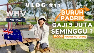 Buruh Pabrik Gaji 9 Juta Seminggu  WHV Australia VLOG 11 [upl. by Renault58]