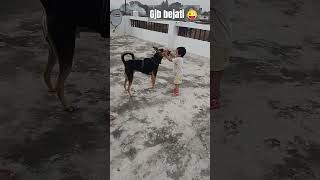 comedy funny fun dakshthegunda doglover [upl. by Zea]