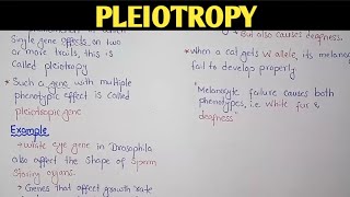 Pleiotropy In Genetics  Class 12 Biology [upl. by Annatsirhc694]