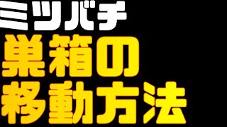 巣箱移動の注意点【日本ミツバチ庭先養蜂】【自然養蜂家】【か式養蜂】【庭先養蜂】【週末養蜂】【日本蜜蜂活性化協会】【趣味の養蜂】 [upl. by Hedva562]