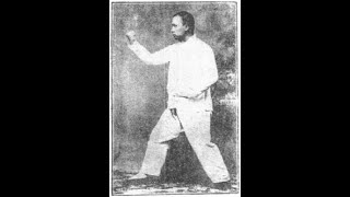 Zuan Quan Xingyiquan Fighting Techniques Vol 1 [upl. by O'Carroll]