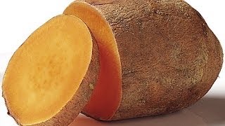 5 Foods Rich in Beta Carotene  Foods High in Beta Carotene [upl. by Wallford422]