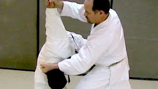 One Minute Bunkai Seisan Bunkai Series Part 2 [upl. by Broderick133]