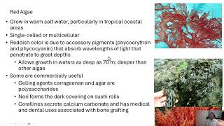 Microbiology Algae [upl. by Desai]