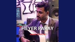 Heyer Paray ShinaUrdu Song Radio Edit [upl. by Linnea]