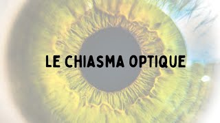 Chiasma optique voies et lésions optiques👀 [upl. by Jovitta]