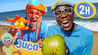 Juca e Blippi Aprendem Cores e Números na Praia  2 HORAS DO JUCA  Vídeos Educativos para Crianças [upl. by Ahtekal398]