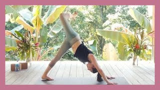 1 Hour Flexibility Yoga  Yoga for Hips and Hamstring Flexibility [upl. by Lime69]