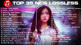 Top 35 NCS Music Lossless  Best of nocopyrightsounds 2019 [upl. by Rohclem663]