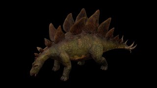 Stegosaurus  Stego Dinosaur ShortVer [upl. by Juanne]