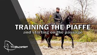 S02E15 Training The Piaffe [upl. by Ylyl]