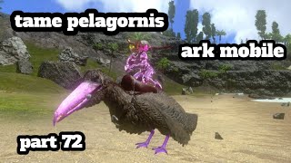 ark mobile tame pelagornis part 72 [upl. by Dnalrag]