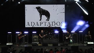 Adaptados  Ellos Dicen MierdaRock Fest 2022 [upl. by Marsiella]