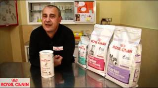 Cómo alimentar al cachorro los primeros días  Nutrición canina Royal Canin [upl. by Lussier384]