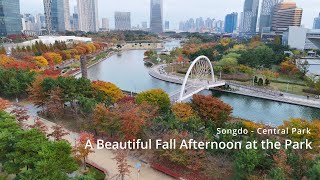 DRONE ADVENTURE Fall Day In Songdo [upl. by Hcirdeirf]