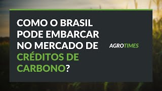 Como o Brasil pode embarcar no mercado bilionário de créditos de carbono [upl. by Mason]